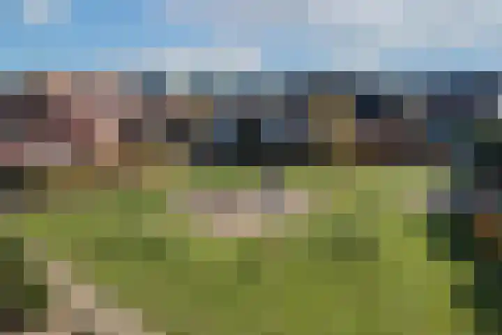 Koningin Julianalaan 17 Steenderen thumbnail 27