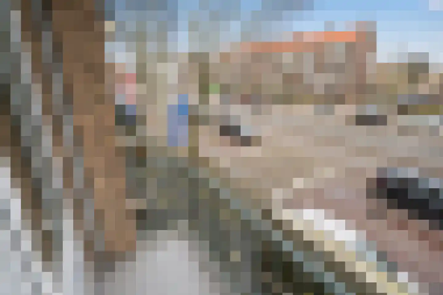 Koningin Julianalaan 180 Voorburg thumbnail 10