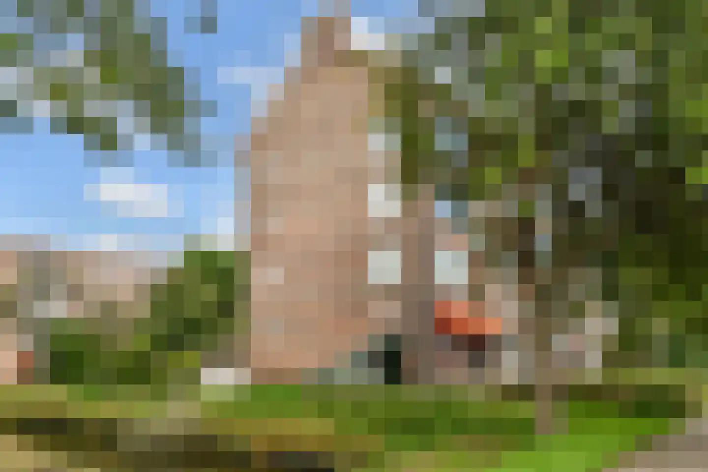 Koningin Julianalaan 185 Voorburg foto 2