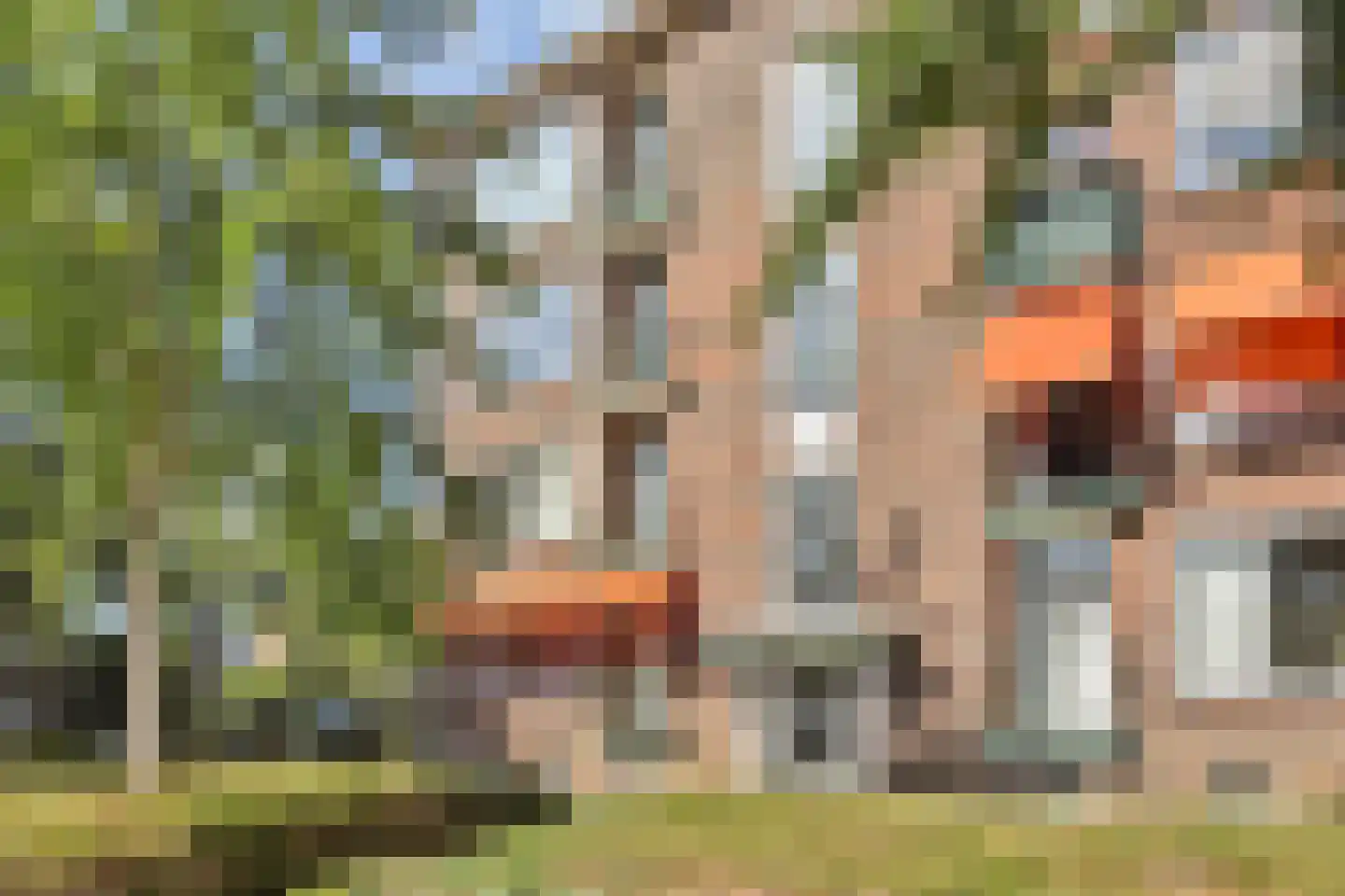 Koningin Julianalaan 185 Voorburg thumbnail 8