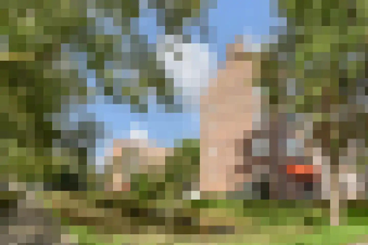 Koningin Julianalaan 185 Voorburg thumbnail 8