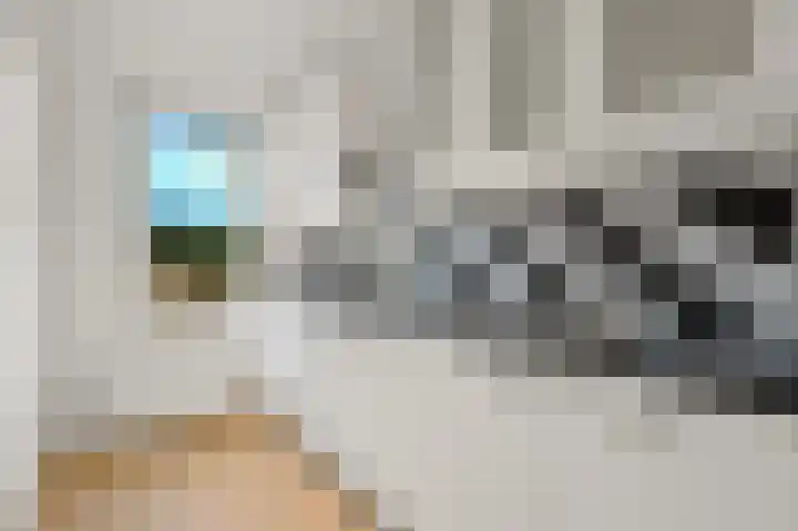 Koningin Julianalaan 191 Voorburg thumbnail 16