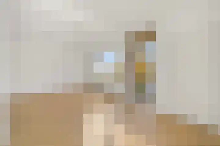Koningin Julianalaan 191 Voorburg thumbnail 9