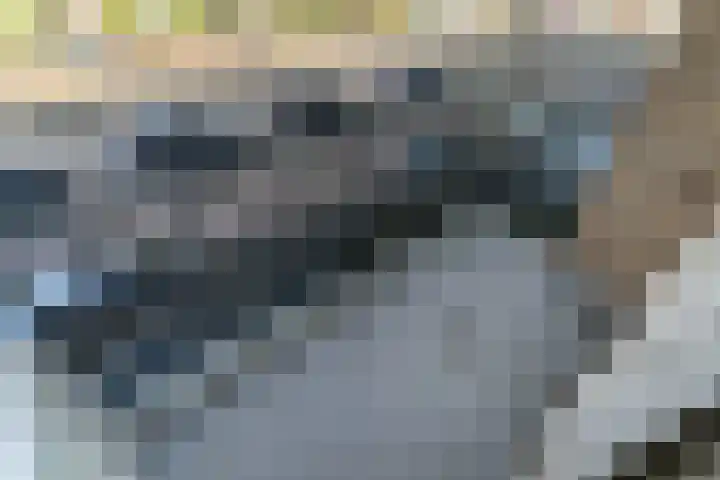 Koningin Julianalaan 196 Voorburg thumbnail 13