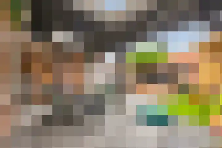 Koningin-Julianalaan 20 Leersum thumbnail 21