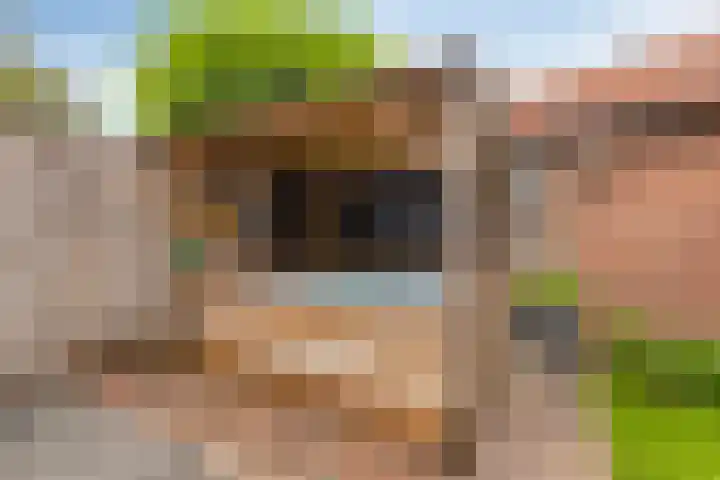 Koningin-Julianalaan 20 Leersum thumbnail 24
