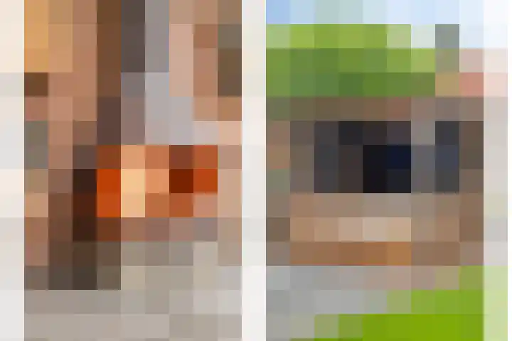 Koningin-Julianalaan 20 Leersum thumbnail 25