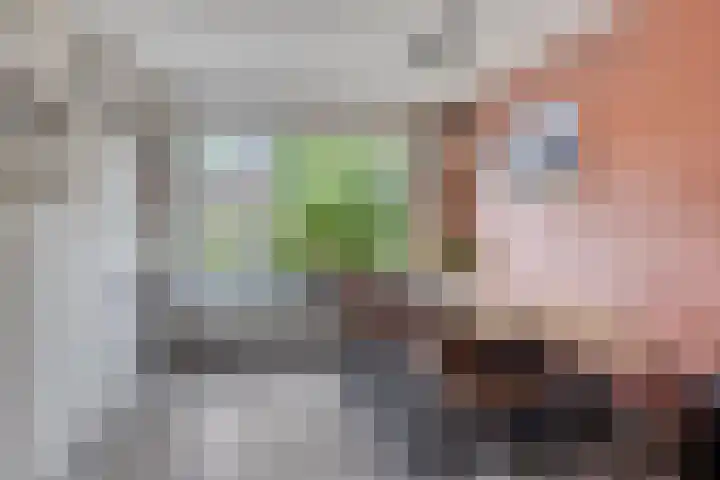 Koningin-Julianalaan 20 Leersum thumbnail 4