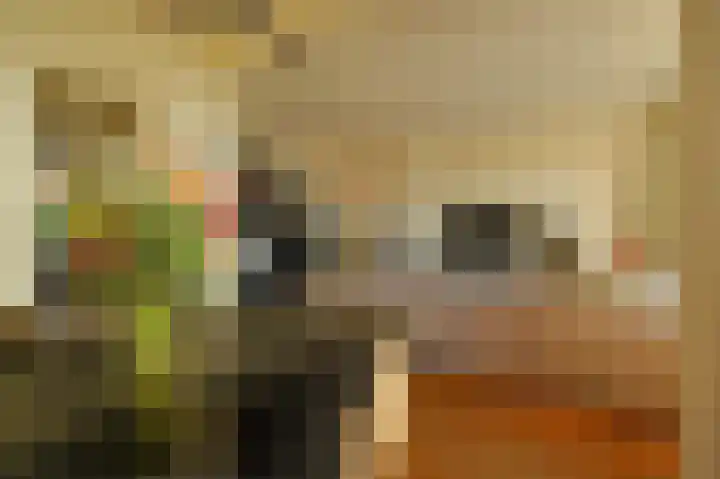 Koningin Julianalaan 205 Voorburg thumbnail 11