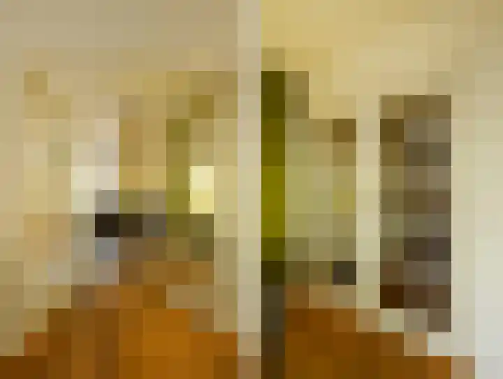 Koningin Julianalaan 205 Voorburg thumbnail 15