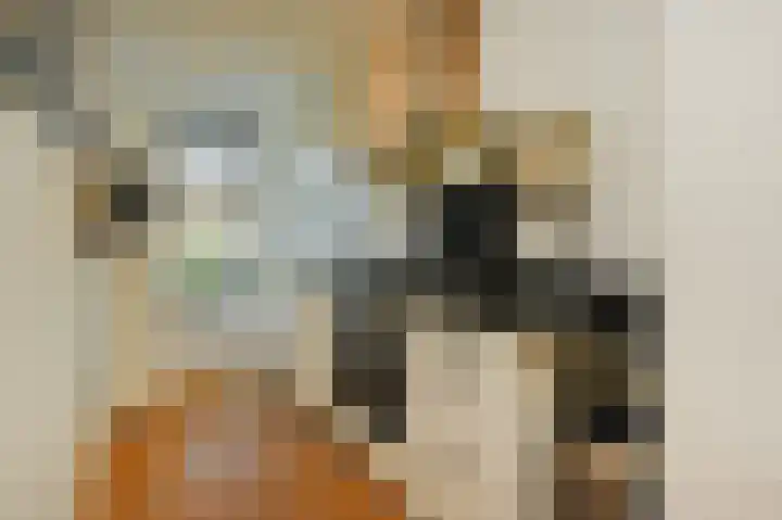 Koningin Julianalaan 205 Voorburg thumbnail 16