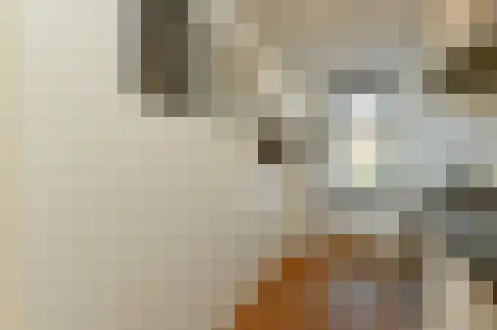 Koningin Julianalaan 205 Voorburg thumbnail 17