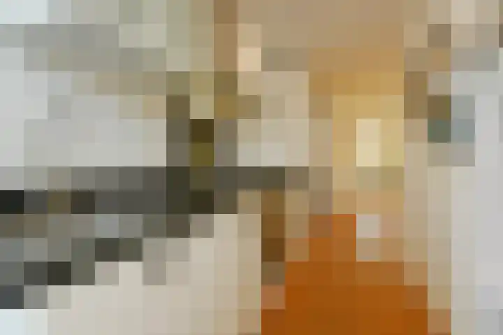Koningin Julianalaan 205 Voorburg thumbnail 18