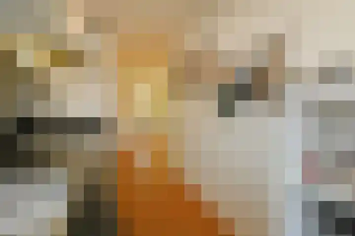 Koningin Julianalaan 205 Voorburg thumbnail 19