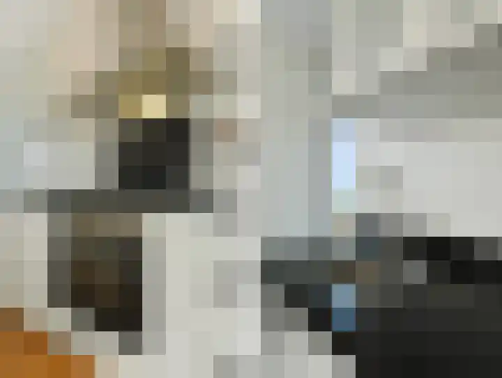 Koningin Julianalaan 205 Voorburg thumbnail 20
