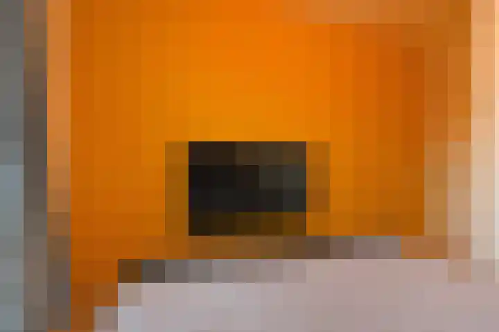 Koningin Julianalaan 205 Voorburg thumbnail 29