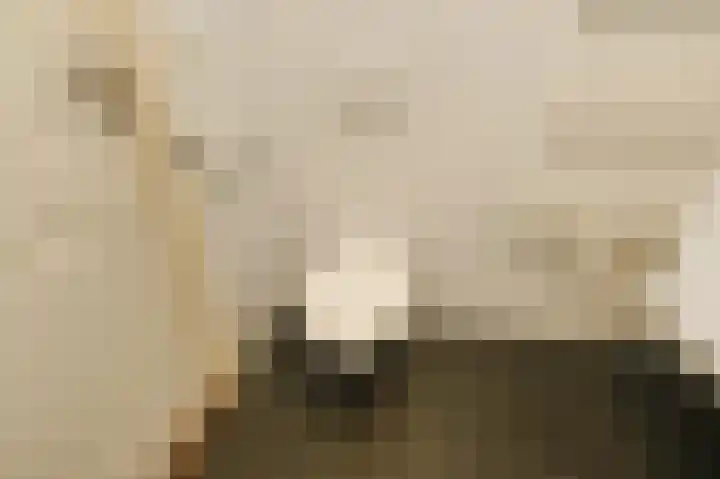 Koningin Julianalaan 205 Voorburg thumbnail 33