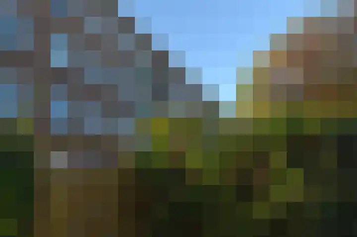 Koningin Julianalaan 205 Voorburg thumbnail 38