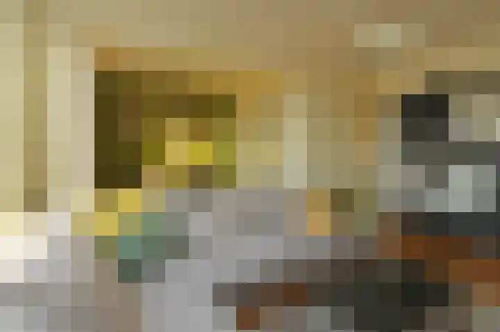 Koningin Julianalaan 205 Voorburg thumbnail 6