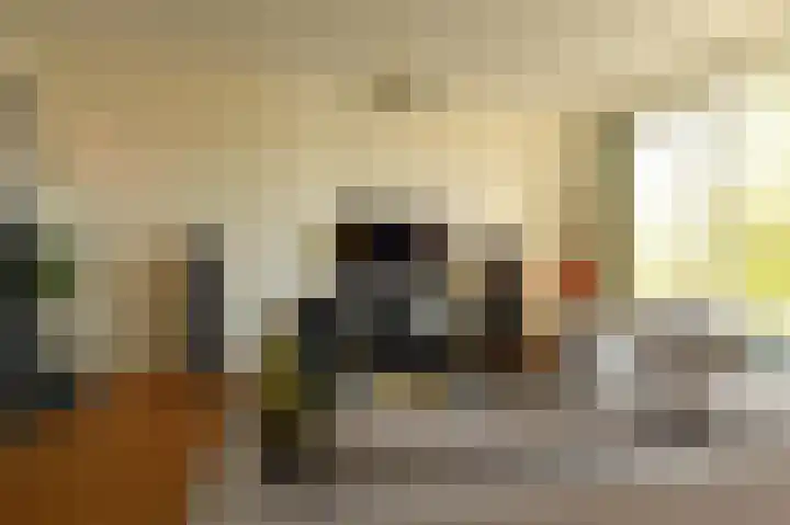 Koningin Julianalaan 205 Voorburg thumbnail 8