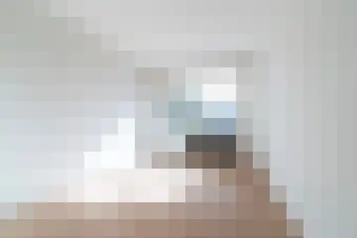 Koningin Julianalaan 210 Voorburg thumbnail 11