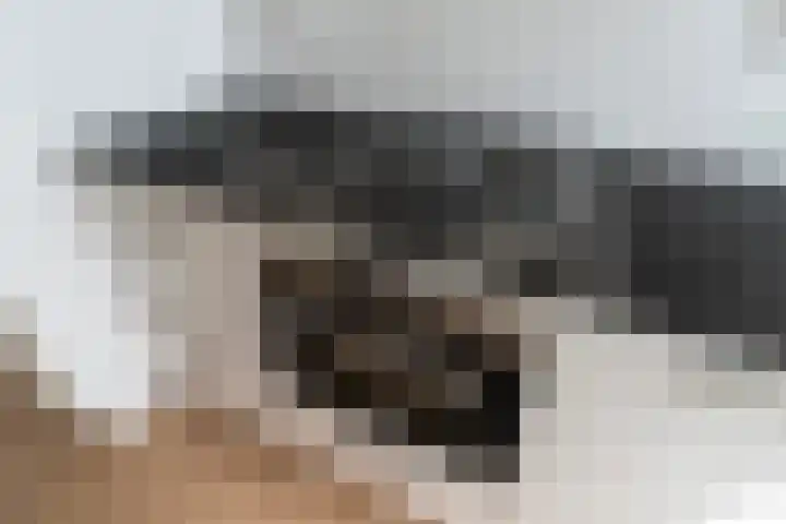Koningin Julianalaan 210 Voorburg thumbnail 17