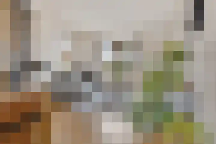 Koningin Julianalaan 22 Delfzijl thumbnail 20