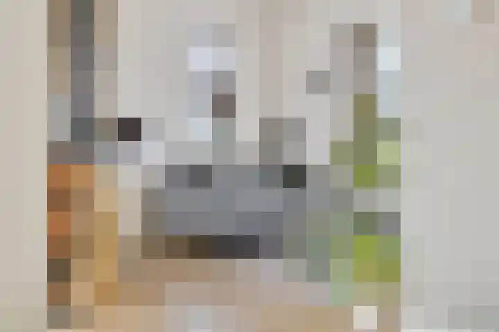 Koningin Julianalaan 22 Delfzijl thumbnail 21