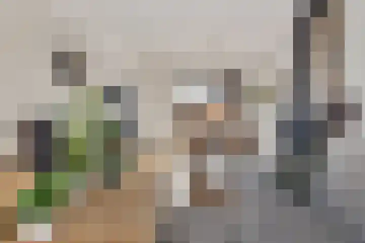 Koningin Julianalaan 22 Delfzijl thumbnail 24