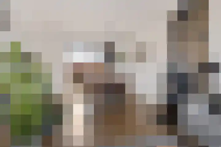 Koningin Julianalaan 22 Delfzijl thumbnail 25
