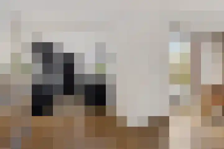 Koningin Julianalaan 22 Delfzijl thumbnail 26