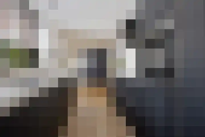 Koningin Julianalaan 22 Delfzijl thumbnail 30