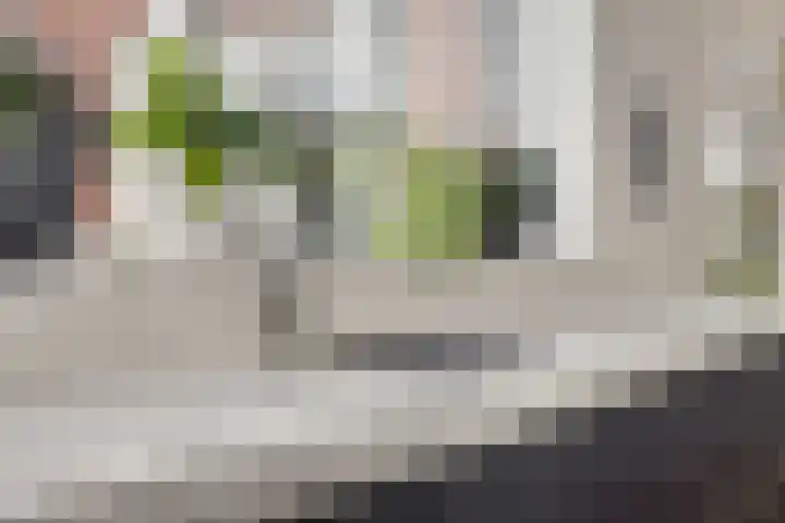Koningin Julianalaan 22 Delfzijl thumbnail 4