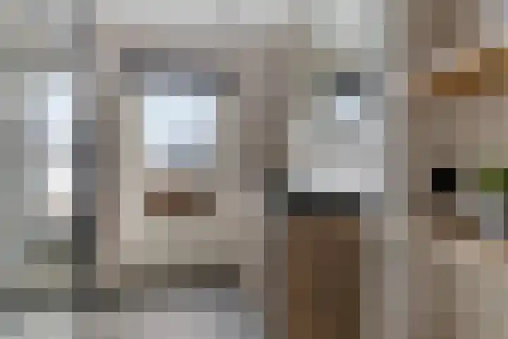 Koningin Julianalaan 22 Delfzijl thumbnail 41