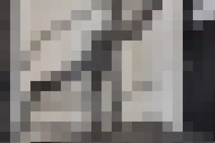 Koningin Julianalaan 22 Delfzijl thumbnail 45