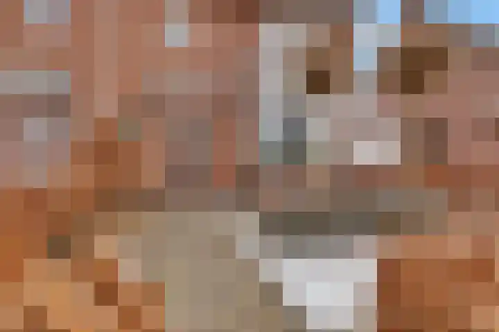 Koningin Julianalaan 22 Delfzijl thumbnail 8