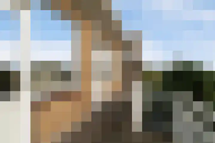 Koningin Julianalaan 224 Voorburg thumbnail 25
