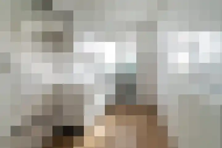 Koningin Julianalaan 224 Voorburg thumbnail 29