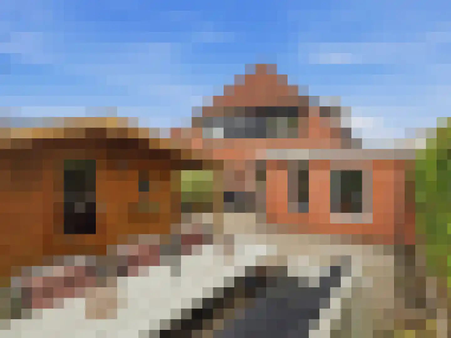 Koningin Julianalaan 23 Steenderen thumbnail 6
