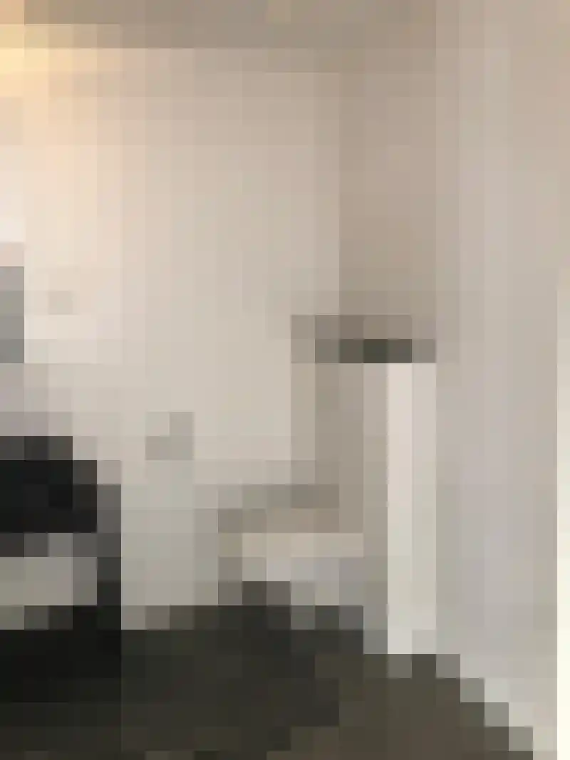 Koningin Julianalaan 24 Voorschoten thumbnail 11