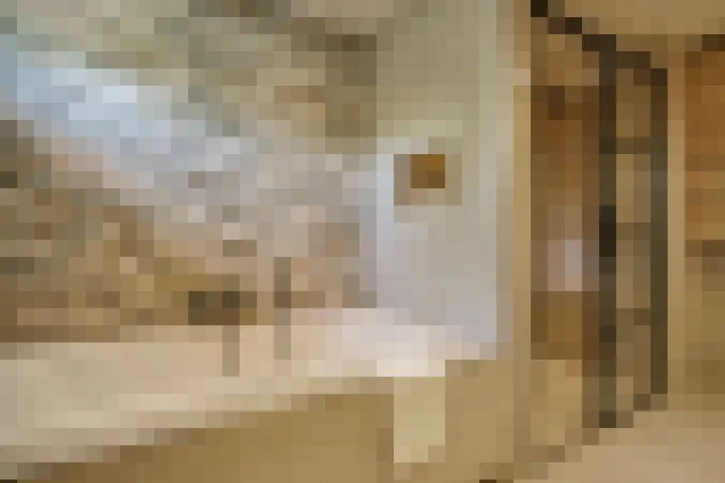 Koningin Julianalaan 25 Ouderkerk aan de Amstel thumbnail 51