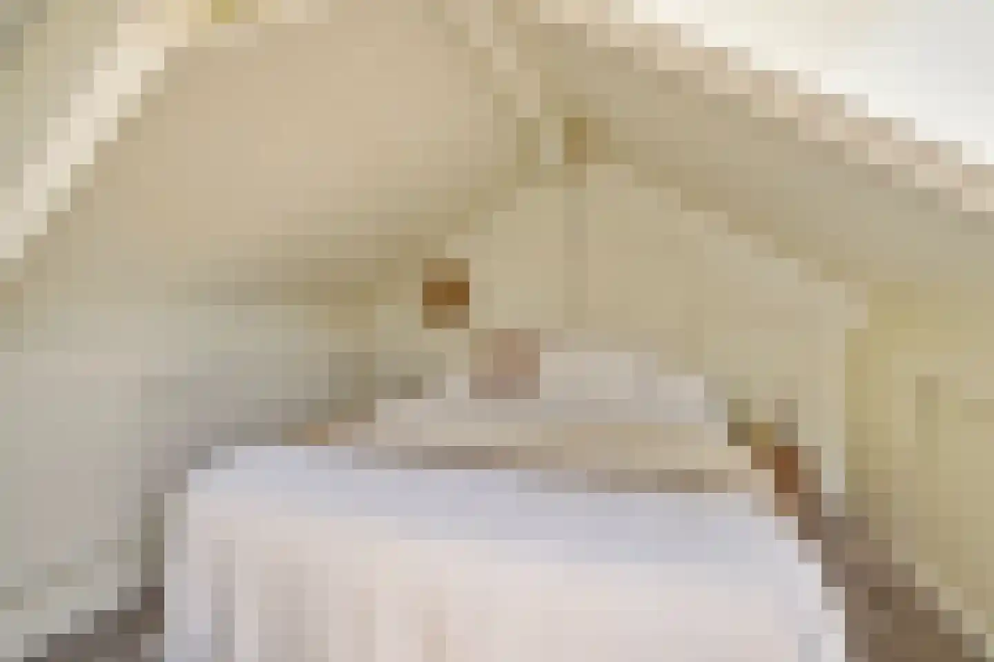 Koningin Julianalaan 25 Ouderkerk aan de Amstel thumbnail 66