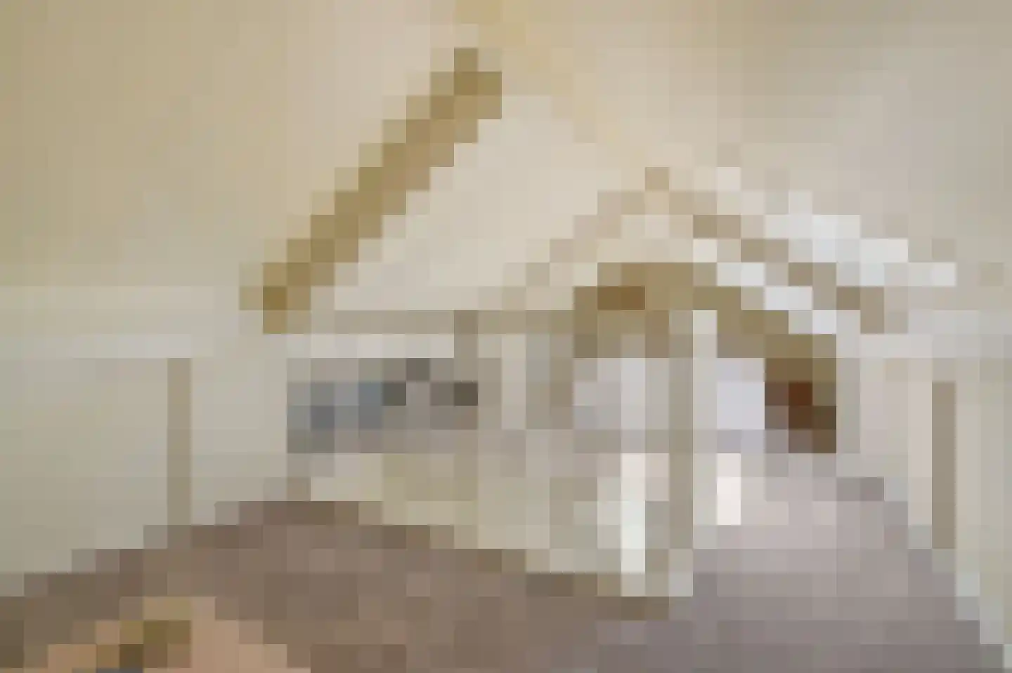 Koningin Julianalaan 25 Ouderkerk aan de Amstel thumbnail 67