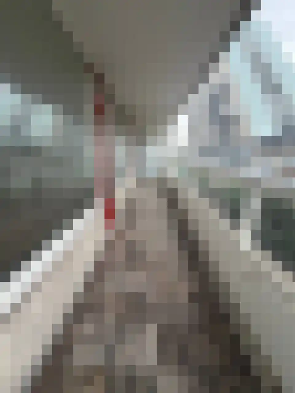 Koningin Julianalaan 271 Voorburg thumbnail 7