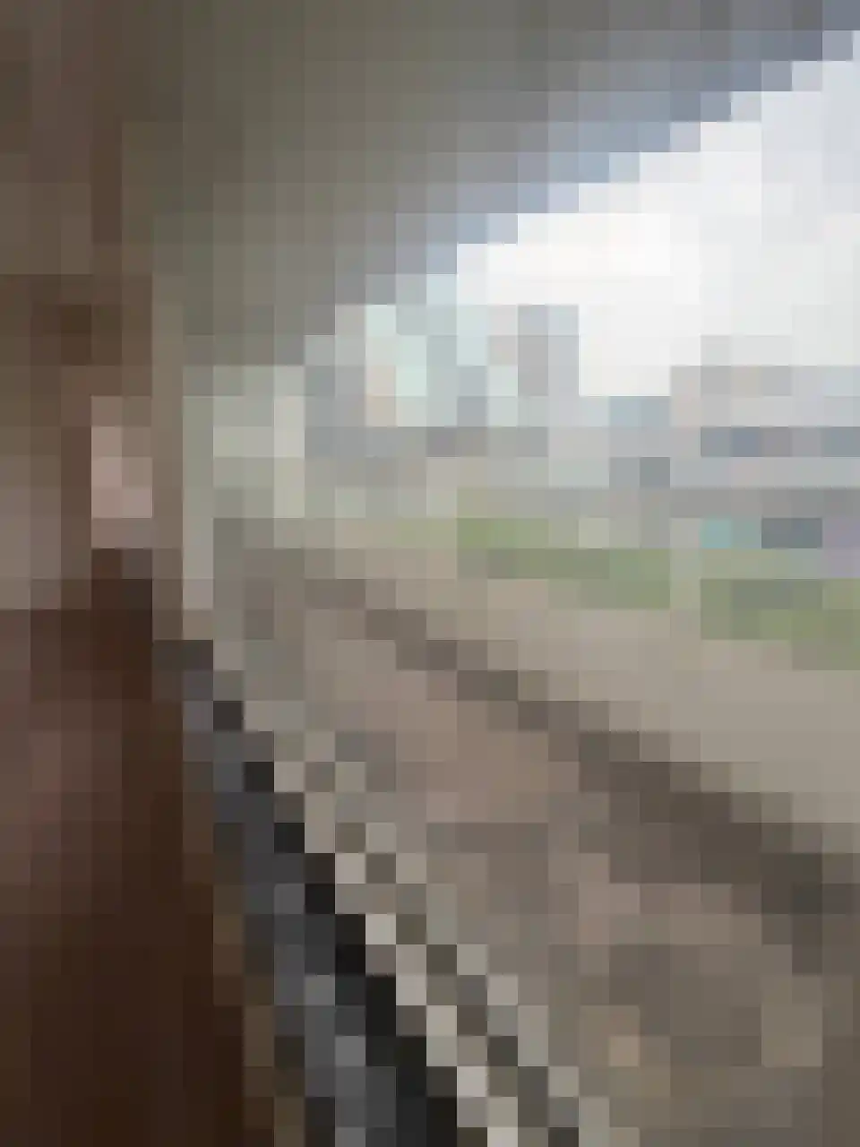 Koningin Julianalaan 271 Voorburg thumbnail 8
