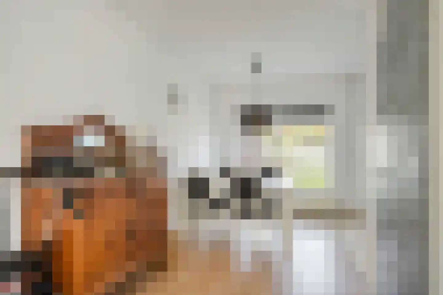 Koningin Julianalaan 29 Steenderen thumbnail 8