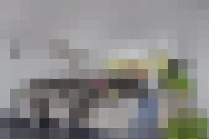 Koningin Julianalaan 30 Arnemuiden thumbnail 14