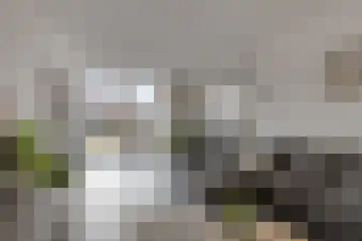 Koningin Julianalaan 30 Arnemuiden thumbnail 15