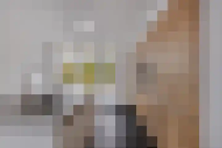 Koningin Julianalaan 30 Arnemuiden thumbnail 20