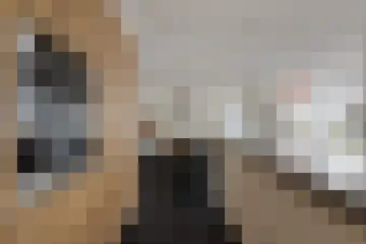 Koningin Julianalaan 30 Arnemuiden thumbnail 22